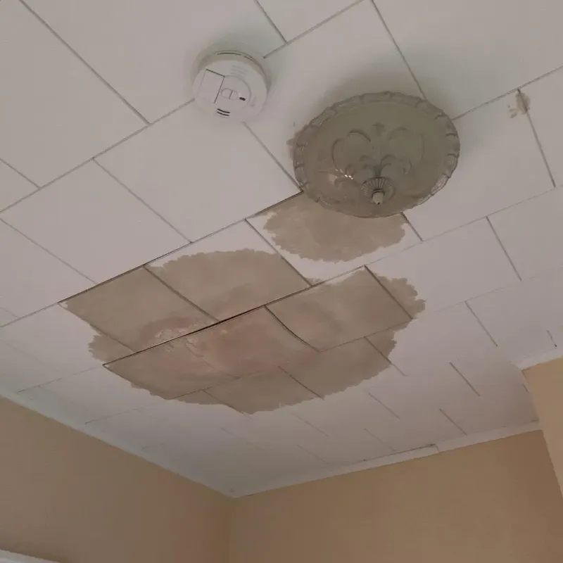 Ceiling Water Damage Repair in Talbotton, GA