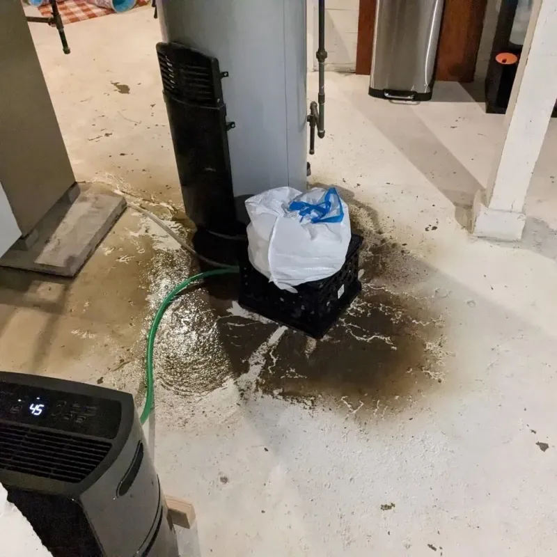 Sewage Backup Cleanup Service in Talbotton, GA
